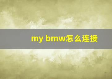 my bmw怎么连接